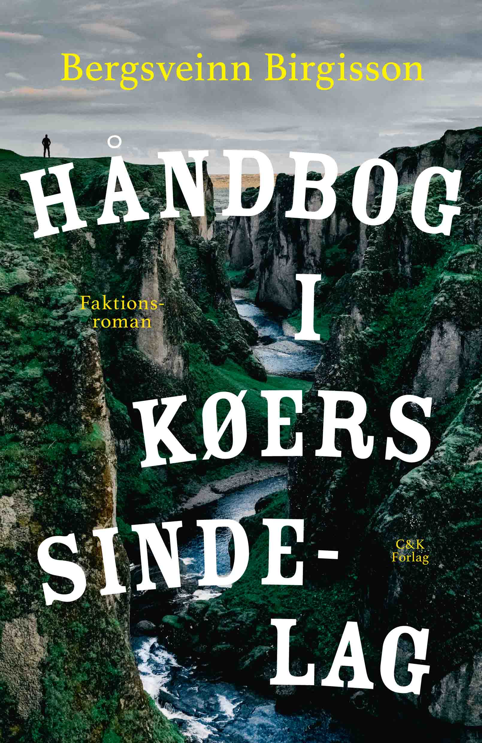 handbog