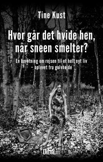hvor gaar det hvide hen naar sneen smelter 